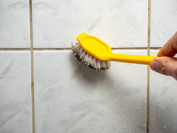 Best Commercial Mold Removal  in Westfield Center, OH