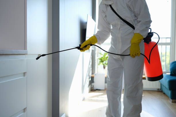 Best Emergency Mold Removal  in Westfield Center, OH