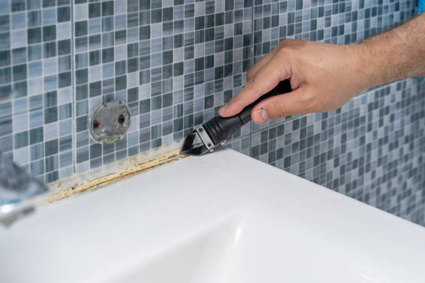 Best Residential Mold Removal  in Westfield Center, OH