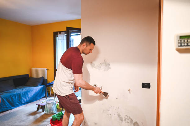 Best Professional Mold Removal  in Westfield Center, OH